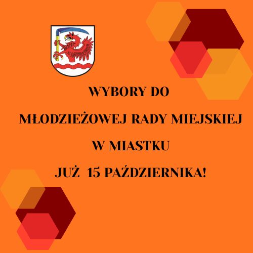 Zdjęcie: Wybory do Młodzieżowej Rady Miejskiej w Miastku – już 15 października!