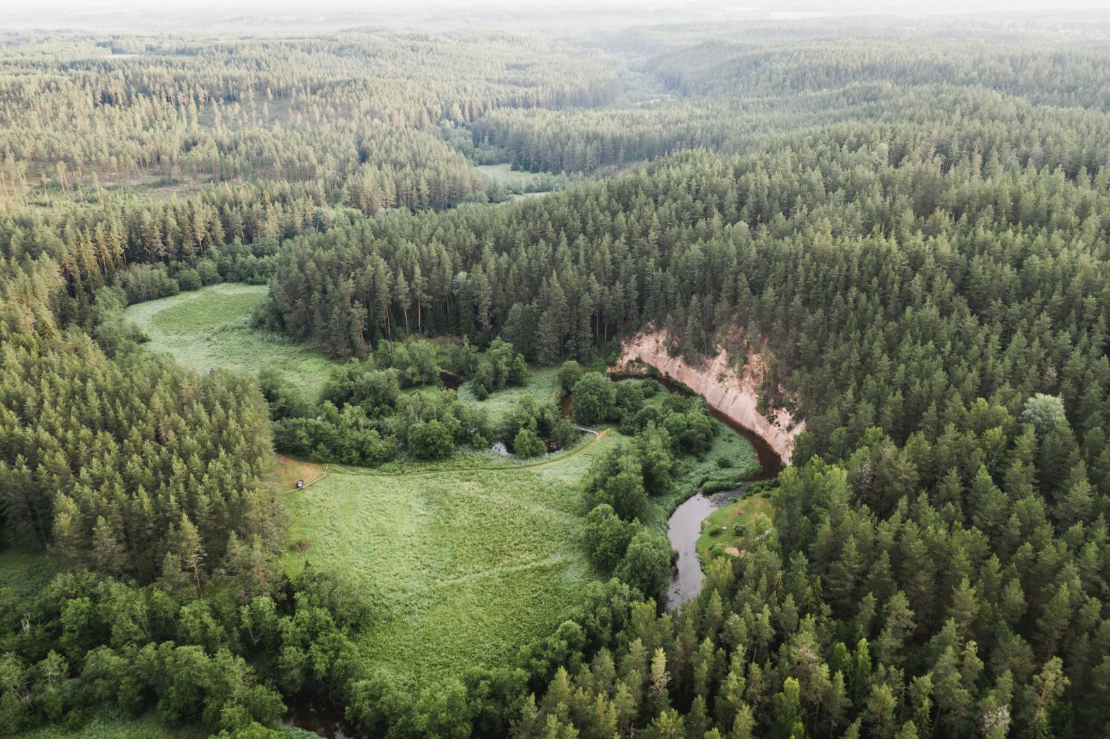 Zdjęcie: ANKIETA DOT. PONOWNEGO ODKRYWANIA LASÓW POŁUDNIOWEGO BAŁTYKU JAKO MIEJSC WSPARCIA ZDROWIA PSYCHICZNEGO I AKTYWNEJ REKREACJI